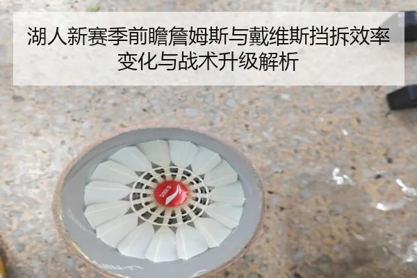 湖人新赛季前瞻詹姆斯与戴维斯挡拆效率变化与战术升级解析